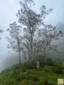 Kirándulás a ködben