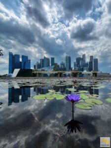 Szingapúri kilátás