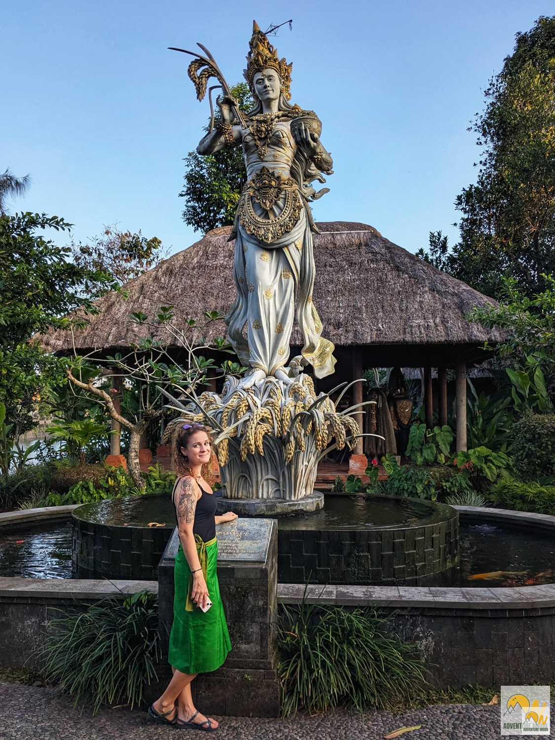 Ki a felelős a lélegzetelállítóan szép rizsföldekért?