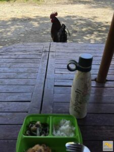 Kakas az ebédlőasztalnál