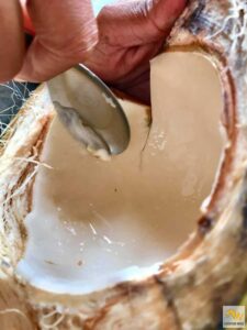 Fiatal kókuszdió belsejének kikanalazása