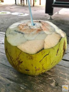 Fiatal kókuszdió ital