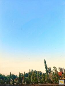 Sárkányok Bali egén