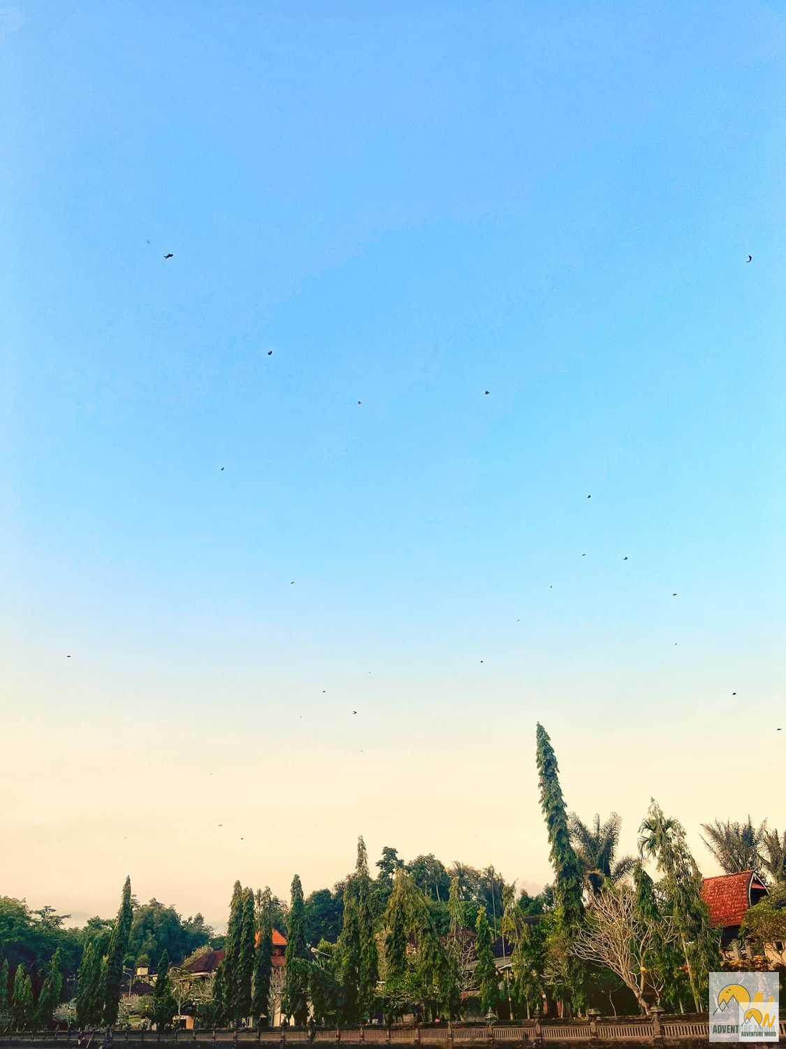 Sárkányok márpedig léteznek!