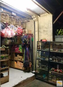 Madarak háziállatnak