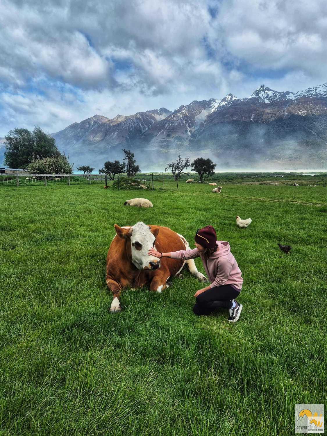 A bárányok hallgatnak, mert boldogok