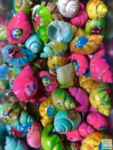 Rákok háziállatnak