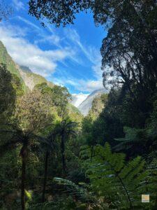 Fox gleccser az esőerdőből
