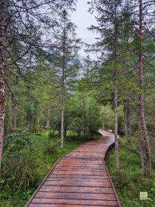 Séta ösvény a tó körül